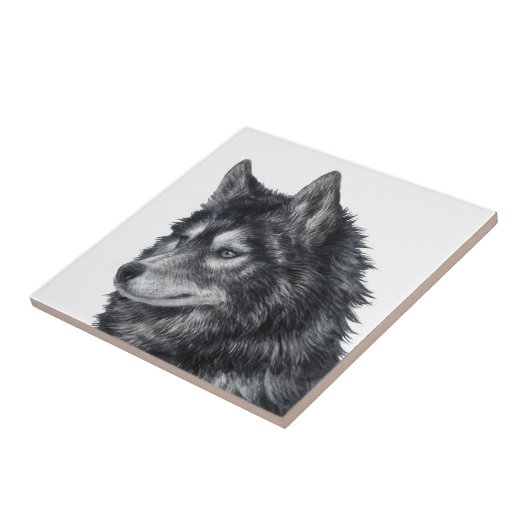 Balto Dog Tegeltje (Zijkant)