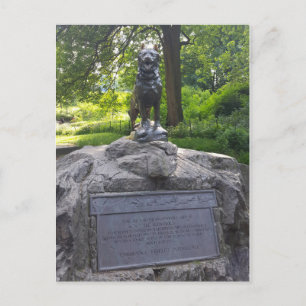 Balto Statue in Central Park Briefkaart