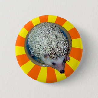 BAM! De Button van de egel