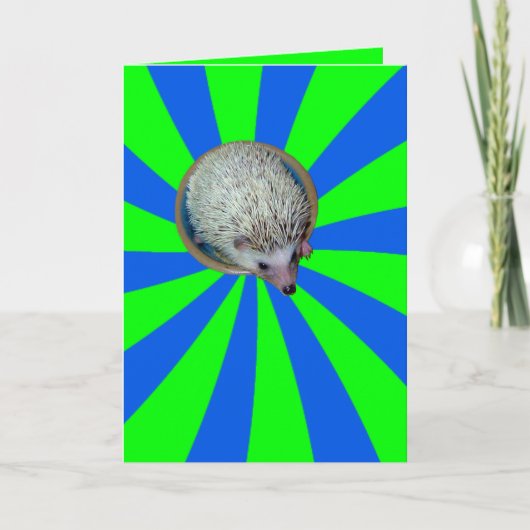BAM! Het Wenskaart van de egel Kaart (Voorkant)