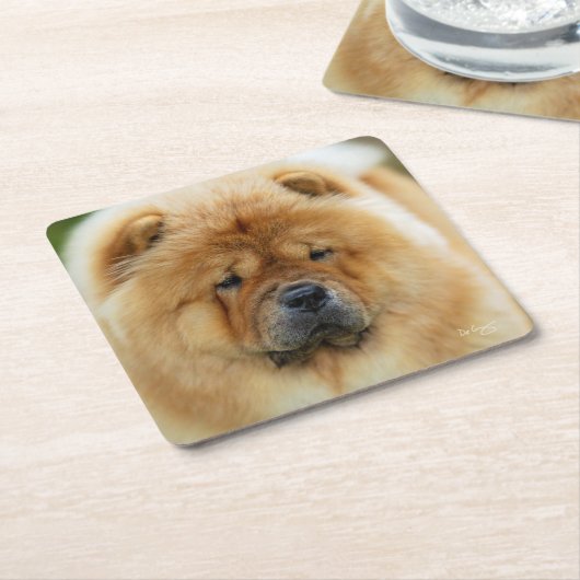 Bamba Chow onderzetter (Schuin)