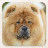 Bamba Chow onderzetter (Voorkant)