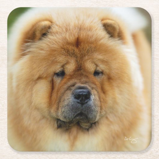 Bamba Chow onderzetter (Voorkant)