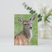Bambi-ansichtkaart Briefkaart (Staand voorkant)
