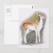 Bambi Briefkaart (Voorkant / Achterkant)