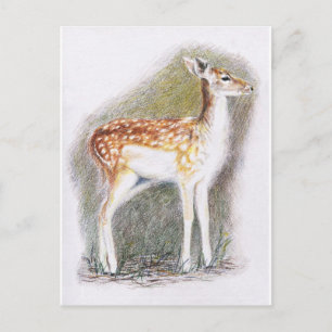 Bambi Briefkaart