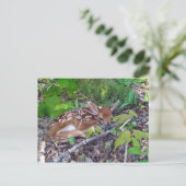 Bambi le bébé chevreuil briefkaart (Staand voorkant)