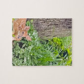 Bambi Legpuzzel (Horizontaal)