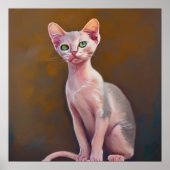 Bambino Cat Poster (Voorkant)