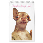 Bambi's drukke jaar kalender (Hoes)