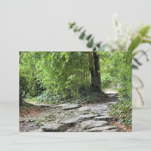 Bamboe (Staand voorkant)