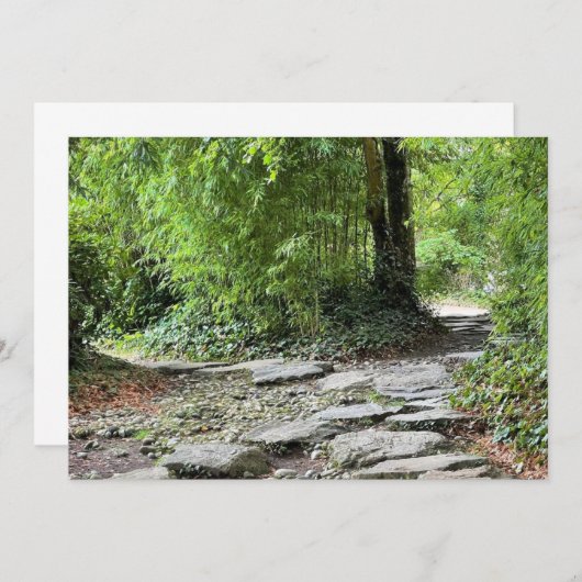 Bamboe (Voorkant / Achterkant)