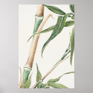 Bamboe blad  kunst poster