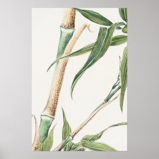 Bamboe blad  kunst poster (Voorkant)