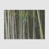 Bamboe Bomen Grove Natuurlijke Fotografie Tissuepapier (Voorkant)