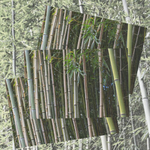 Bamboe Bomen Grove Natuurlijke Fotografie Tissuepapier