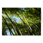 Bamboe Botanische Natuur (Voorkant Horizontaal)