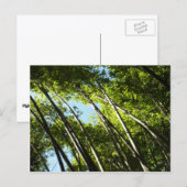 Bamboe Botanische Natuur Briefkaart (Voorkant / Achterkant)