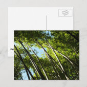 Bamboe Botanische Natuur Briefkaart (Voorkant / Achterkant)