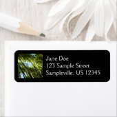 Bamboe Botanische Natuur Etiket (Insitu)