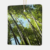 Bamboe Botanische Natuur Keramisch Ornament (Links)