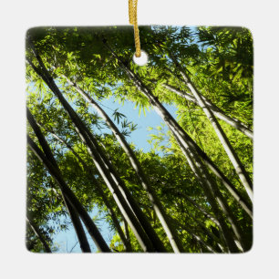 Bamboe Botanische Natuur Keramisch Ornament