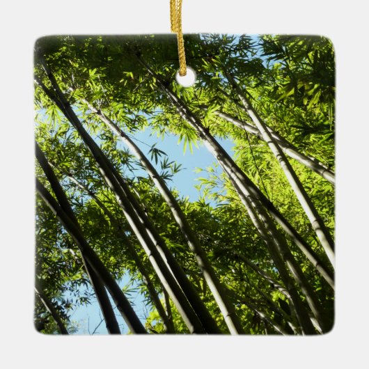 Bamboe Botanische Natuur Keramisch Ornament (Voorkant)