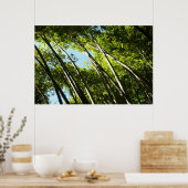 Bamboe Botanische Natuur Poster (Keuken)