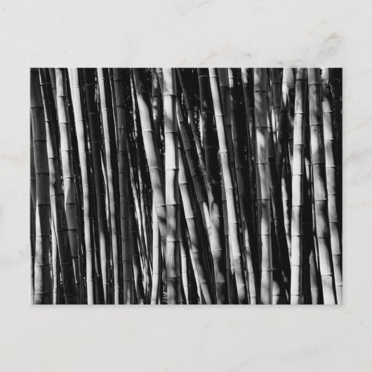 Bamboe Briefkaart (Voorkant)