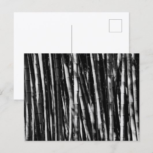 Bamboe Briefkaart (Voorkant / Achterkant)