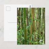 Bamboe Briefkaart (Voorkant / Achterkant)