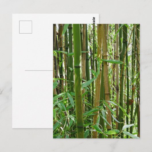 Bamboe Briefkaart (Voorkant / Achterkant)