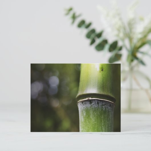 Bamboe Briefkaart (kleur) (Staand voorkant)