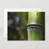 Bamboe Briefkaart (kleur) (Voorkant / Achterkant)