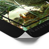 Bamboe Buddha Poster -60x40 -andere maten beschikb (Hoek)