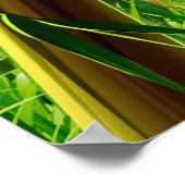 Bamboe & Butterfly Art 1 Poster (Hoek)