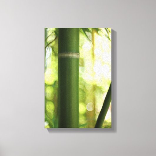 Bamboe (Canvas) Canvas Afdruk (Voorkant)