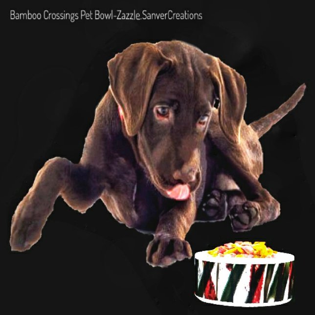 Bamboe Crossing Voerbakje (Creator heeft geüpload)