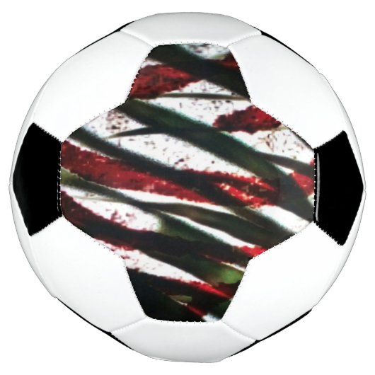 Bamboe Crossing Voetbal (Gedraaid)