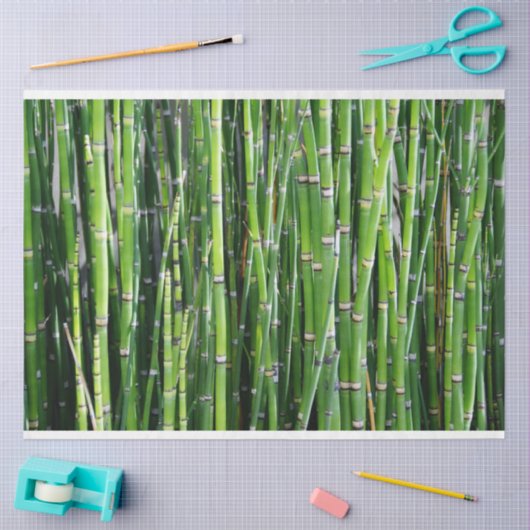 Bamboe Decoupage 24 Background Tissue Paper Tissuepapier (Craft)