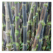 Bamboe Design Wall Tile Tegeltje (Voorkant)