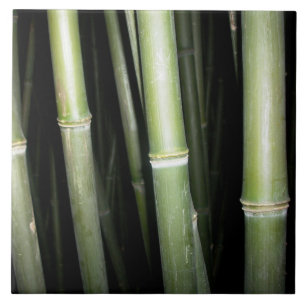 Bamboe Design Wall Tile Tegeltje