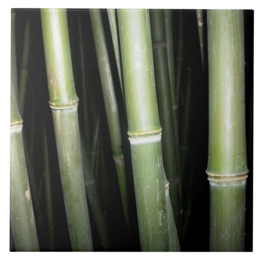 Bamboe Design Wall Tile Tegeltje (Voorkant)