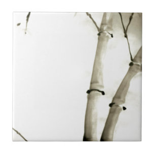 Bamboe en bladeren tegeltje