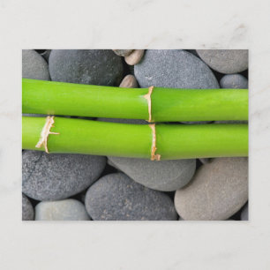Bamboe en pebble briefkaart