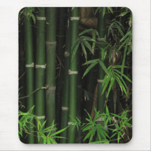 Bamboe ... Fao Rai, Nong Khai, Isaan, Thailand Muismat