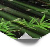 Bamboe ... Fao Rai, Nong Khai, Isaan, Thailand Poster (Hoek)