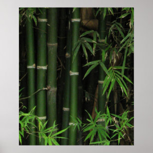 Bamboe ... Fao Rai, Nong Khai, Isaan, Thailand Poster