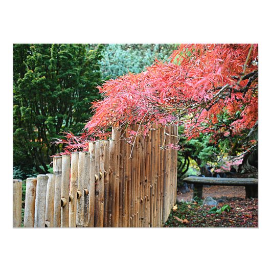 Bamboe Fence en Japans springplank Foto Afdruk (Voorkant)