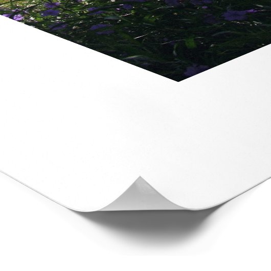 Bamboe Fence Perspective Poster (Hoek)